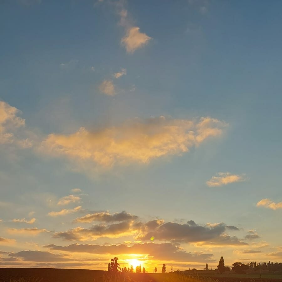 חודש ותיקות וותיקים – סיור ערב בפארק האקולוגי