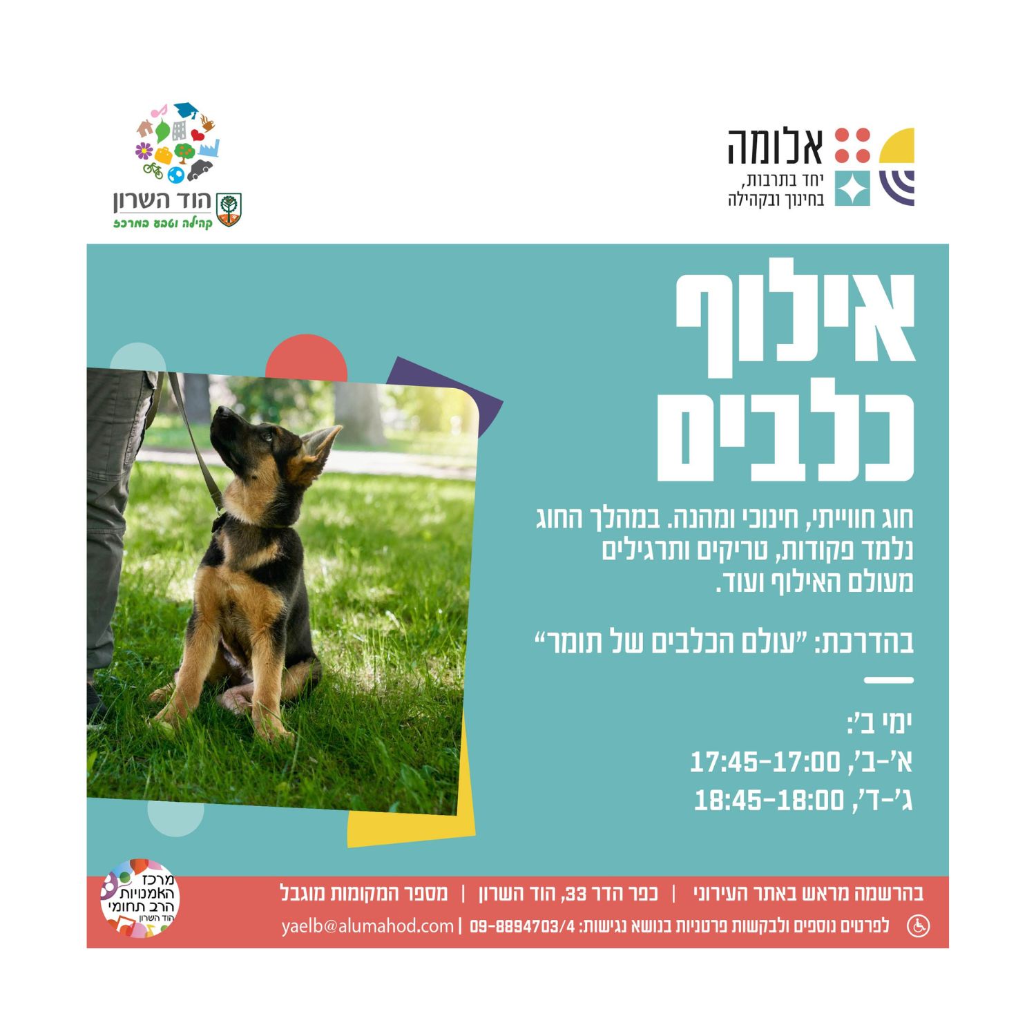חוג אילוף כלבים