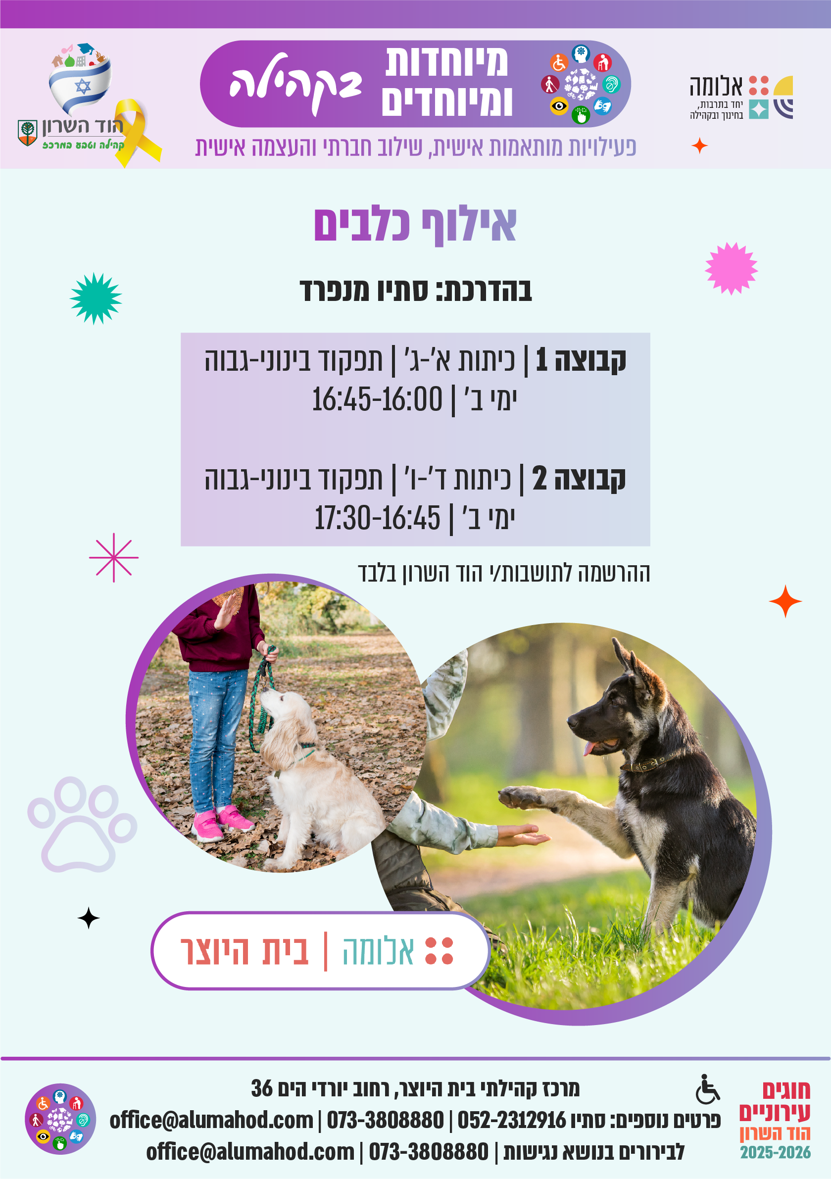 אילוף כלבים