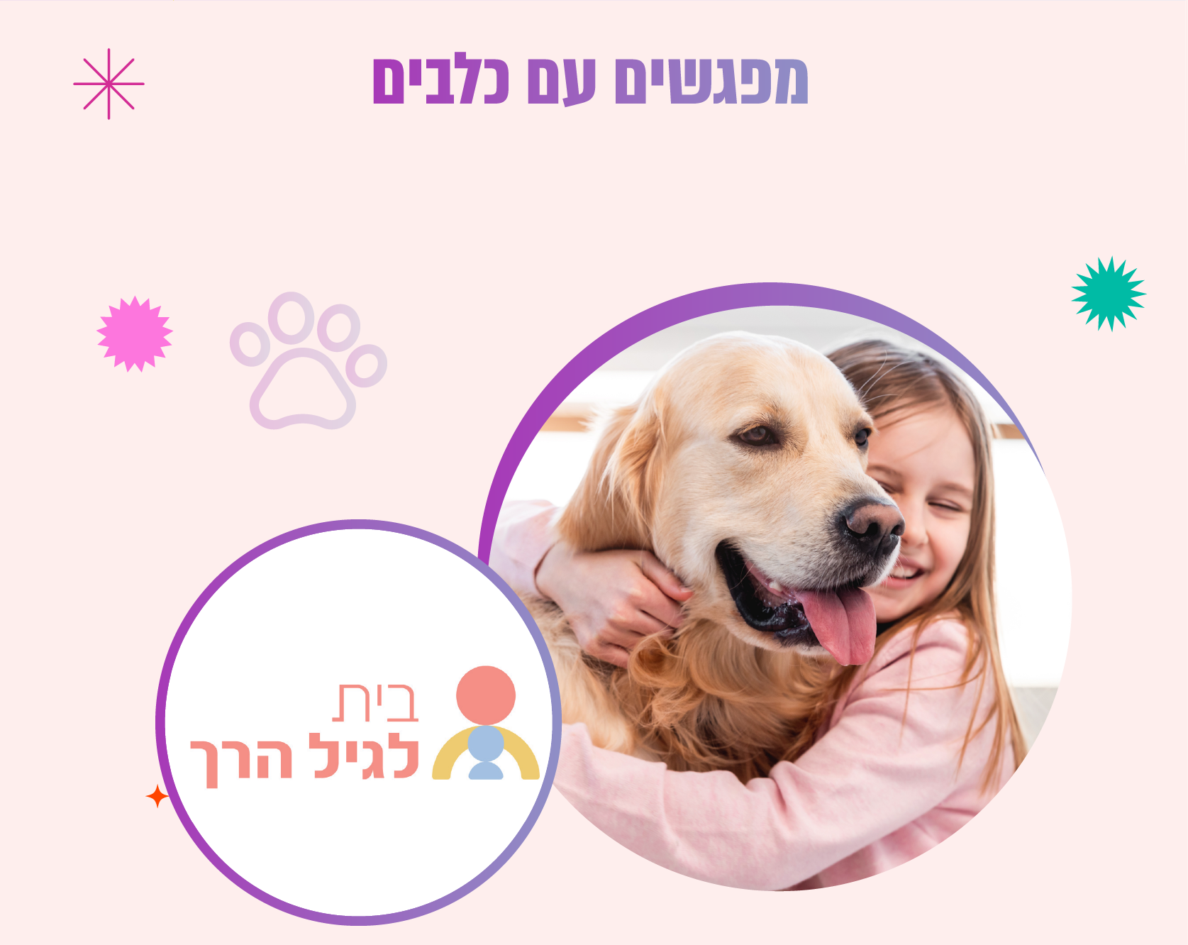 מפגשים עם כלבים
