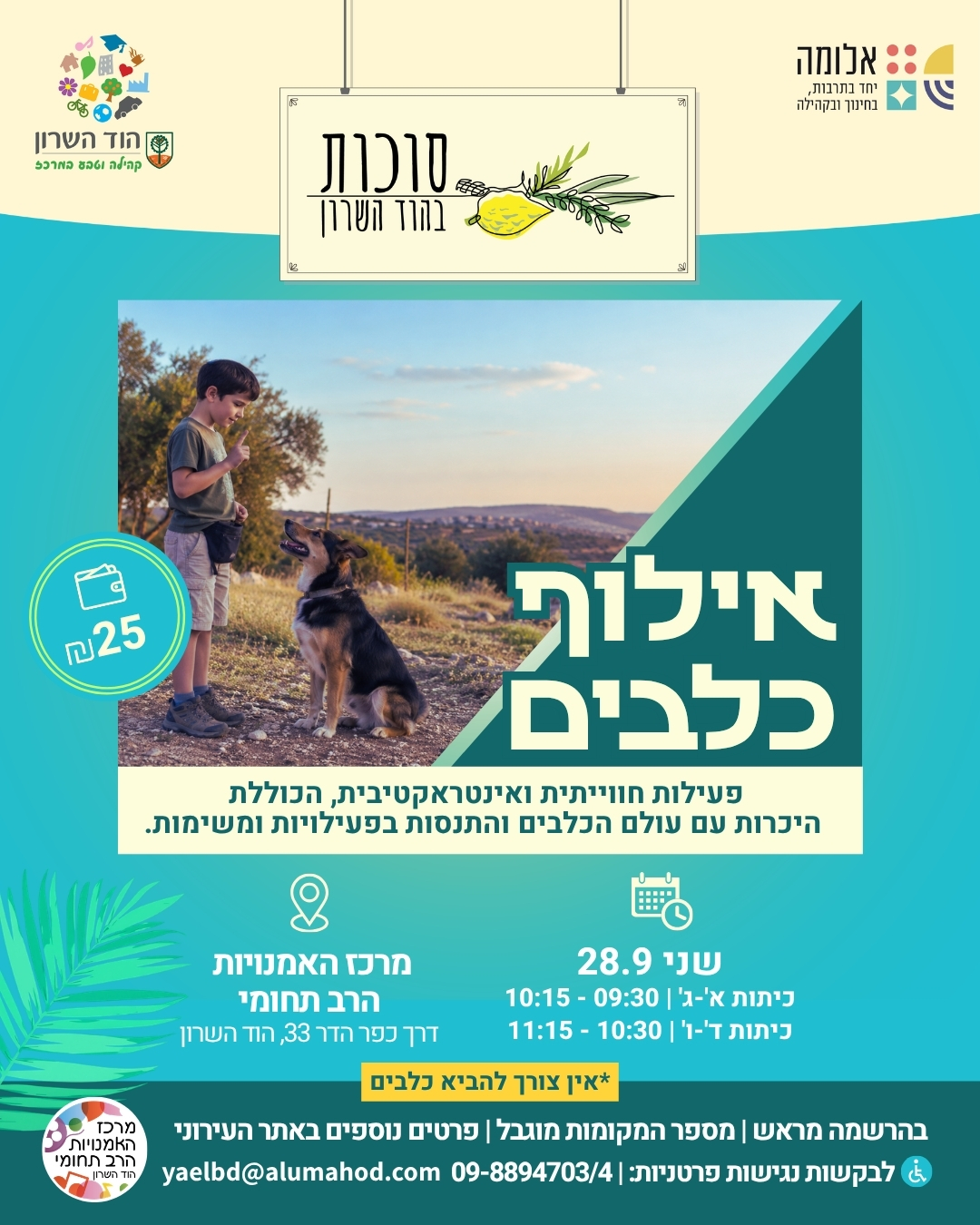סדנת אילוף כלבים